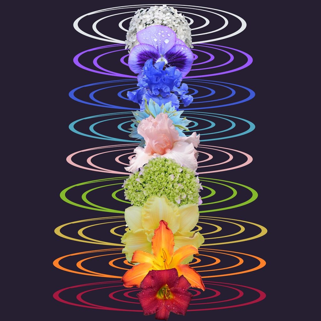 chakras, rainbow, chakra, new age, symbol, yoga, crown, circle, center, colors, vibrations, meditation, nature, lilac nature, lilac yoga, lilac meditation, lilac rainbow, lilac news, lilac color, lilac natural, lilac circle, lilac new, chakras, chakras, chakras, chakras, chakras, chakra, chakra